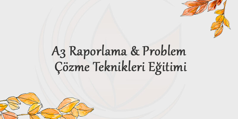a3-raporlama-problem-cozme-teknikleri-egitimi