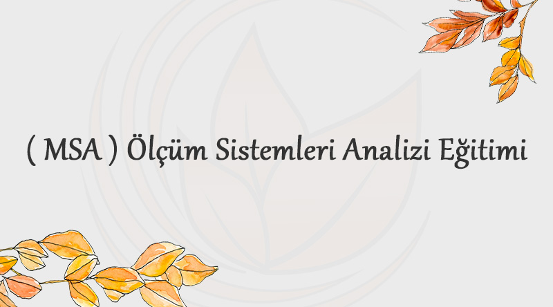 msa-olcum-sistemleri-analizi-egitimi